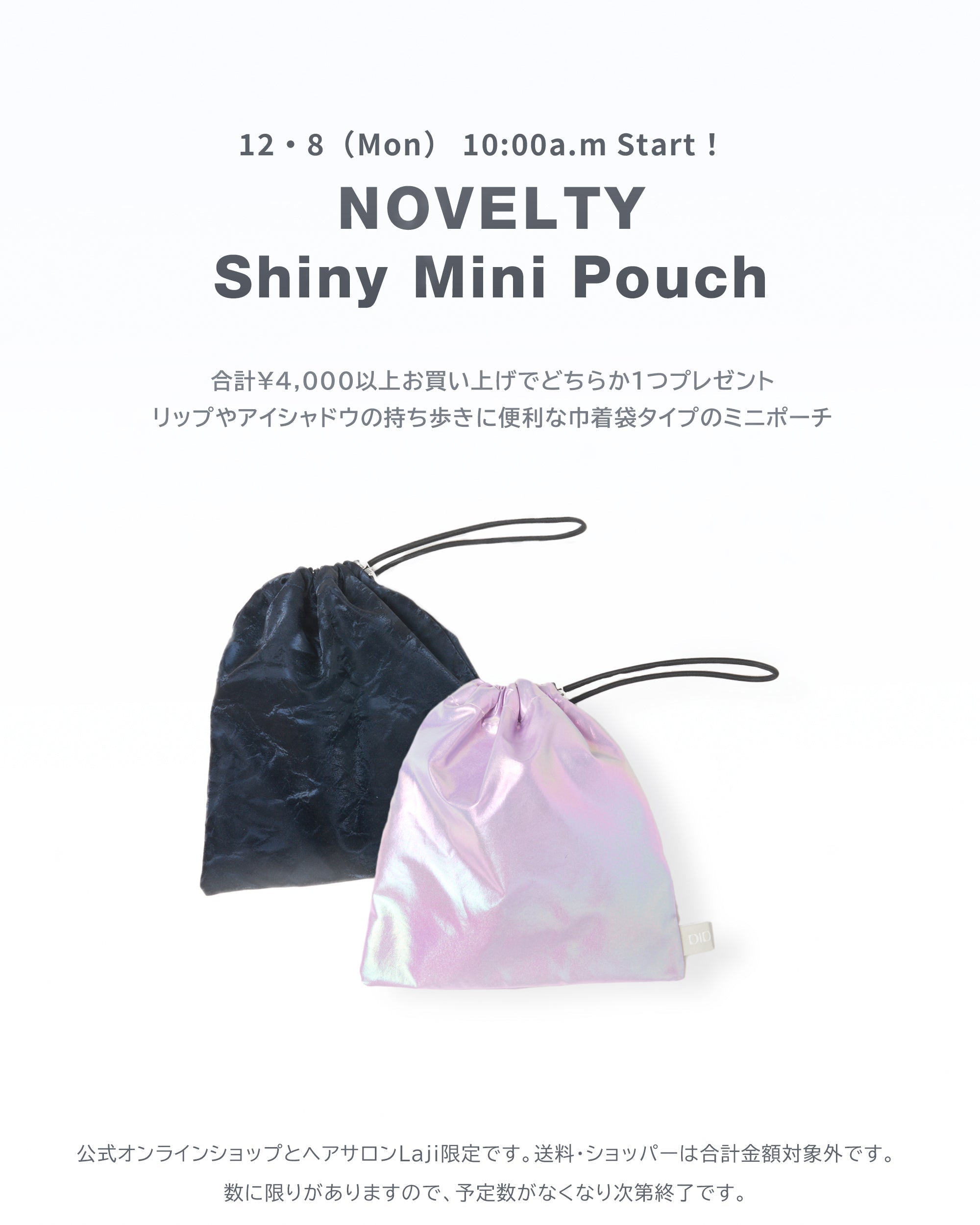 終了しました※ NOVELTY Shiny Mini Pouch＜ミニポーチ＞ノベルティ
