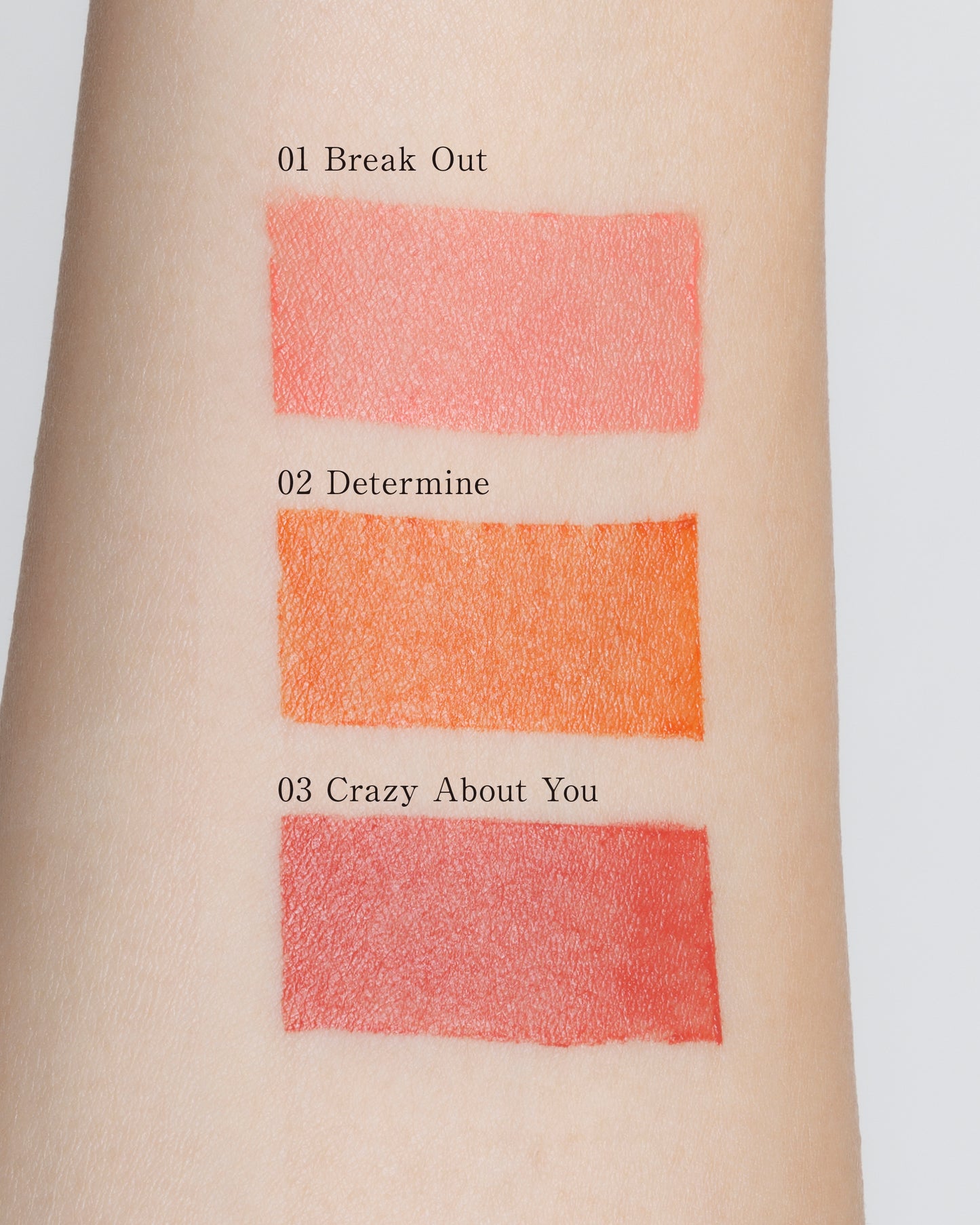 DIDION リップスティック サテンマット . 01 Break Out