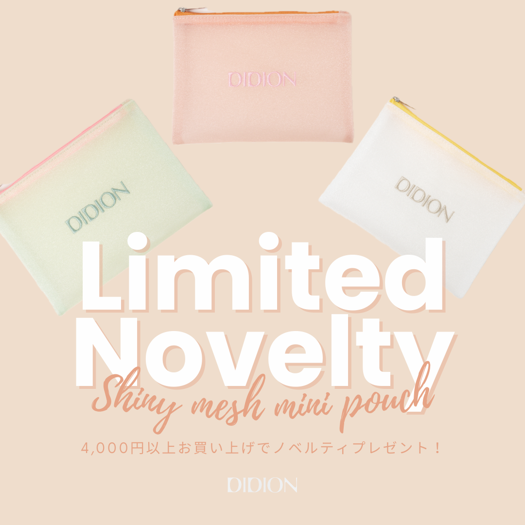 Shiny Mesh Mini Pouch NOVELTY CAMPAIGN