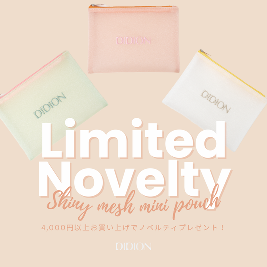 Shiny Mesh Mini Pouch NOVELTY CAMPAIGN