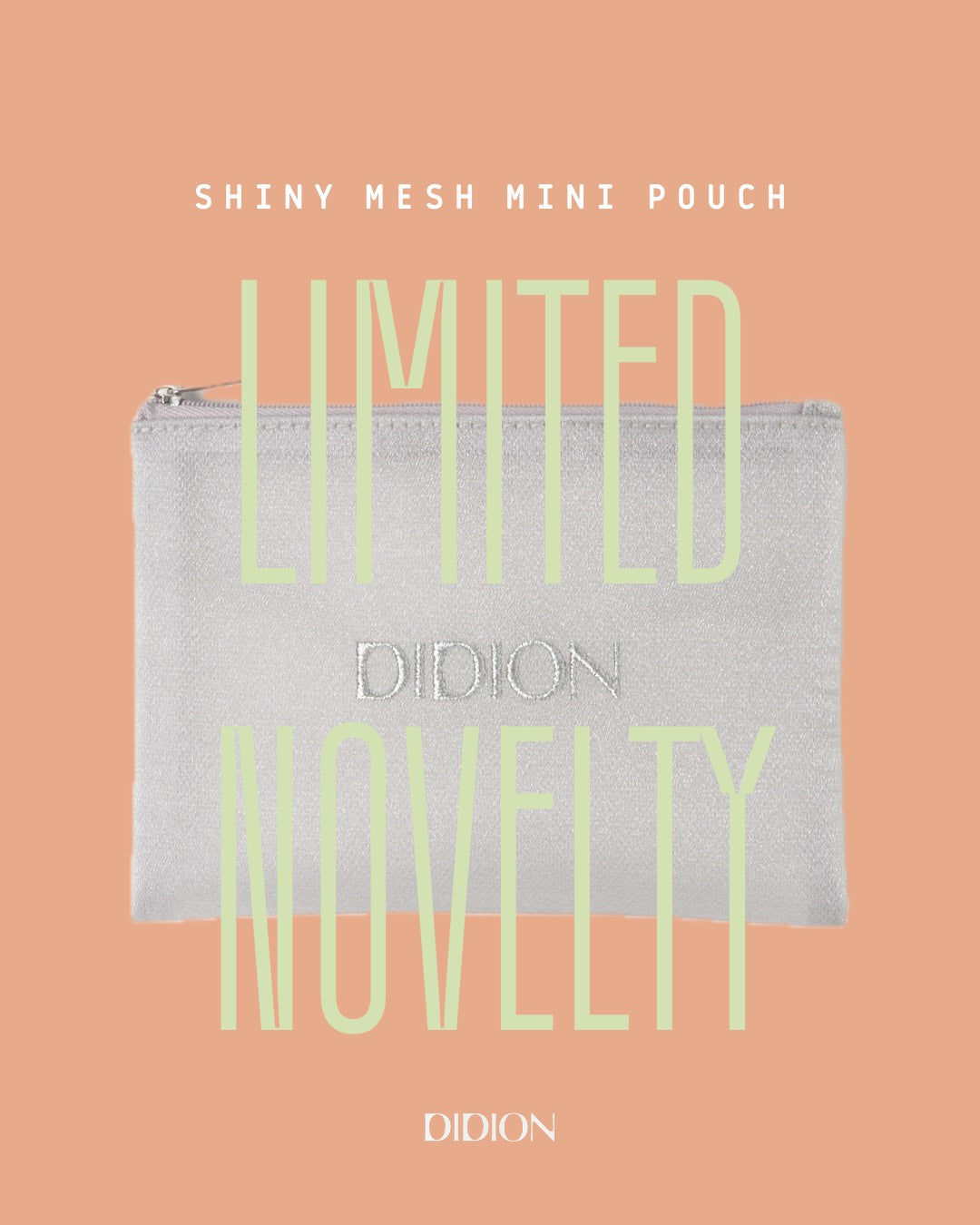 ※終了しました※　Shiny Mesh Mini Pouch Novelty Present（Limited Color Gray）