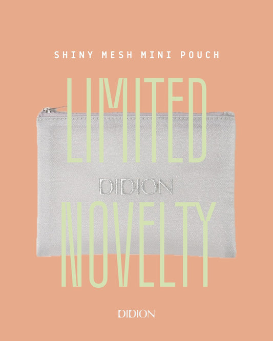 ※終了しました※　Shiny Mesh Mini Pouch Novelty Present（Limited Color Gray）