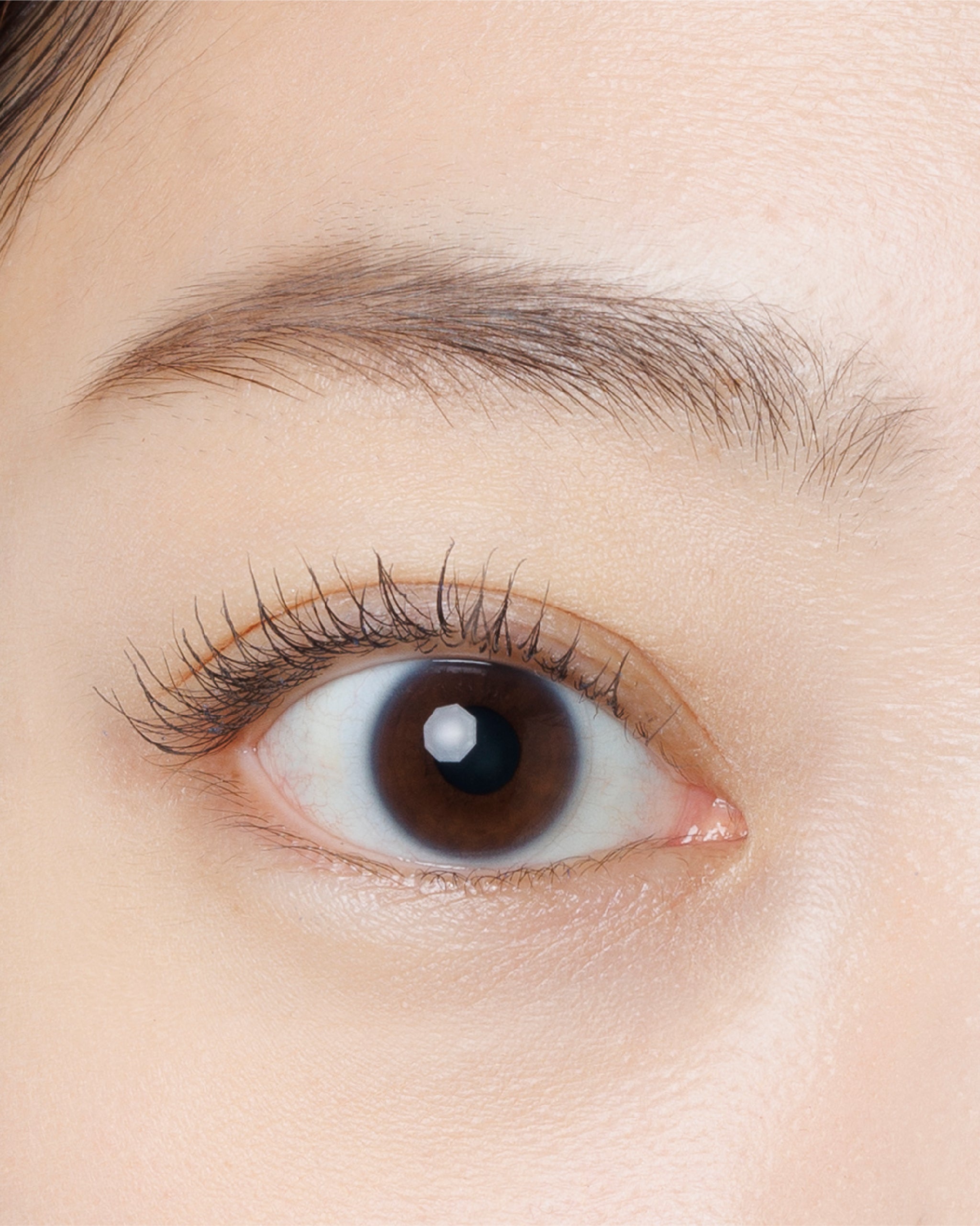 TONE COLOR MASCARA F03 Clear Evony｜アッシュグレーで抜け感を叶えるカラーマスカラ – DIDION