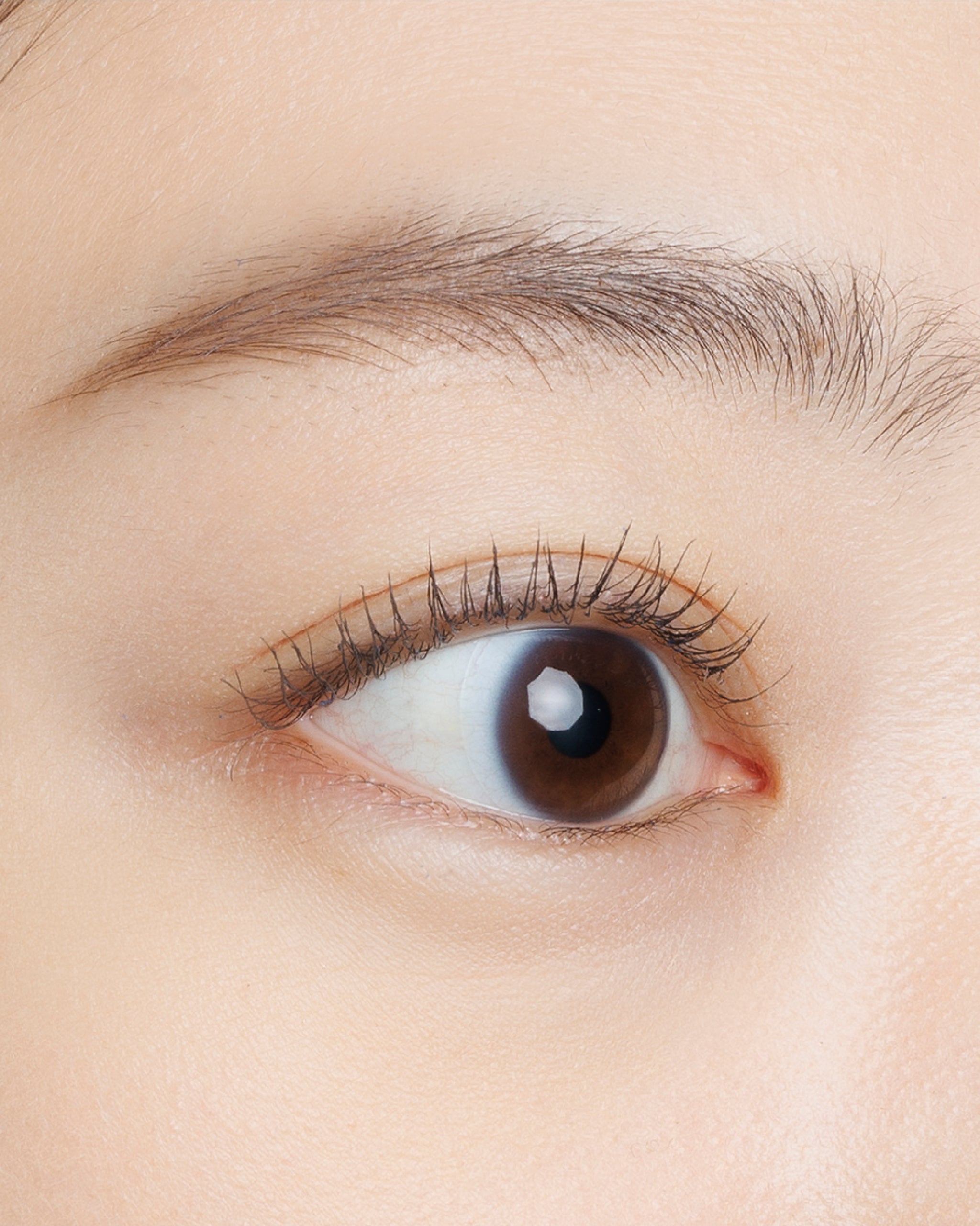 TONE COLOR MASCARA F03 Clear Evony｜アッシュグレーで抜け感を叶えるカラーマスカラ – DIDION