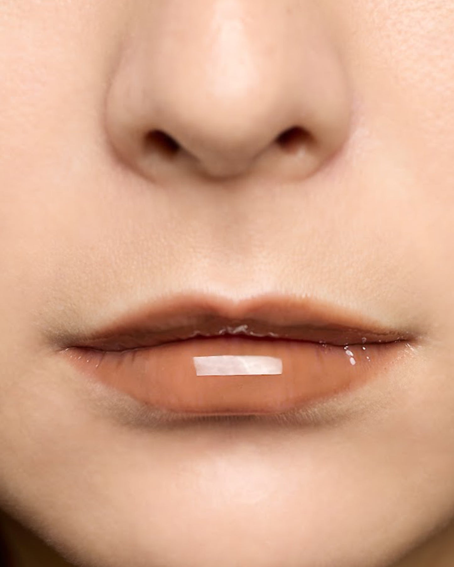 DIDION メルティ リップグロス . 03 Brown Sugar