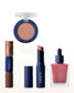 DIDION. SOFT MATTE LIP 01 Velvet Fig IG SET